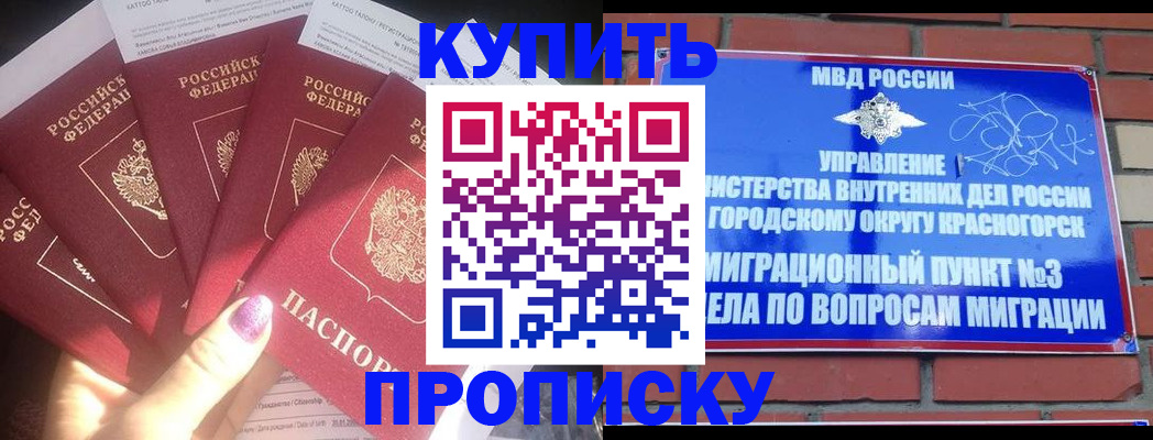 временная регистрация для школы в Архангельской области